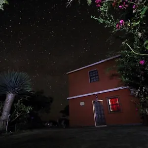 Apartment Bodega Goyo